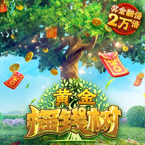 pg国际最新版